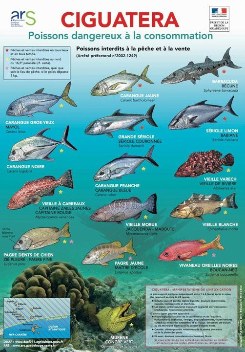 Attention aux poissons toxiques