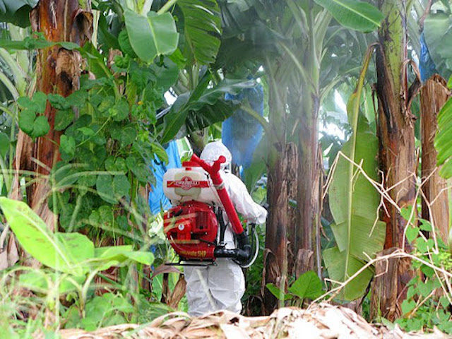 Pesticides : associations et députés saisissent le Conseil d’Etat