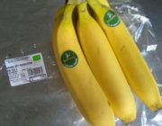 République dominicaine. Le jour où la banane des Antilles a perdu la bataille !