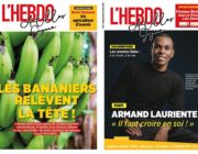 Les bananiers relèvent la tête