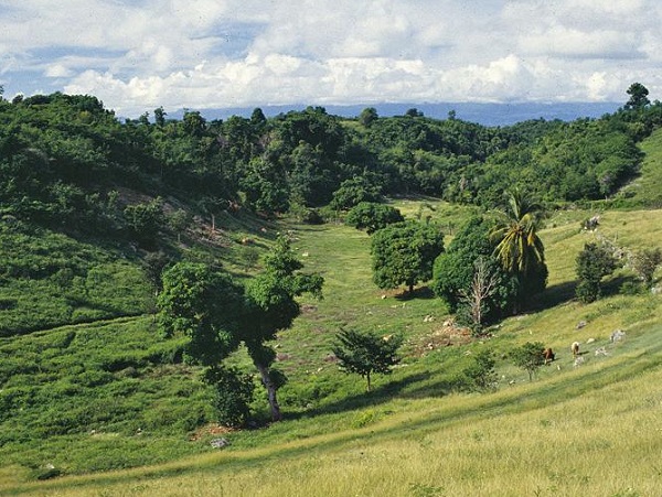 les grands fonds guadeloupe